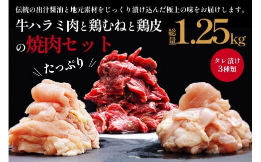 印南町オリジナル熟成タレ漬けBBQセット 1.25kg【BBQ・焼肉用】