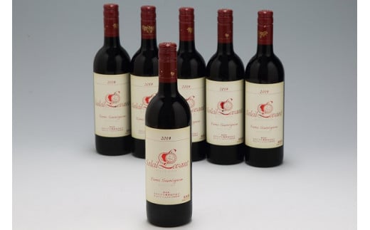 食の都庄内　月山ワイン　ソレイユ・ルバン　ヤマソービニオン　赤（辛口）６本セット