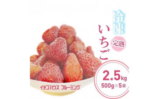 冷凍 いちご 2.5kg（ 500g × 5袋 ） こだわり肥料で育てた自慢のいちご 1222295 - 滋賀県滋賀県庁