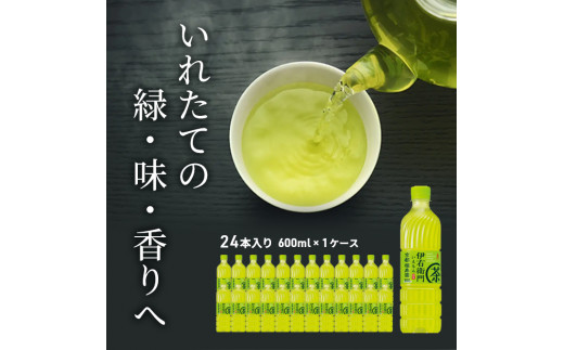 お茶 サントリー 緑茶 伊右衛門 600ml×24本 ペットボトル|サントリープロダクツ株式会社神奈川綾瀬工場