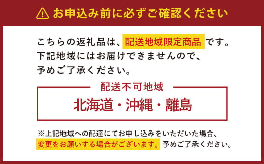 【2ヶ月毎4回定期便】焼肉ライスバーガー 計36パック（9パック×4回）