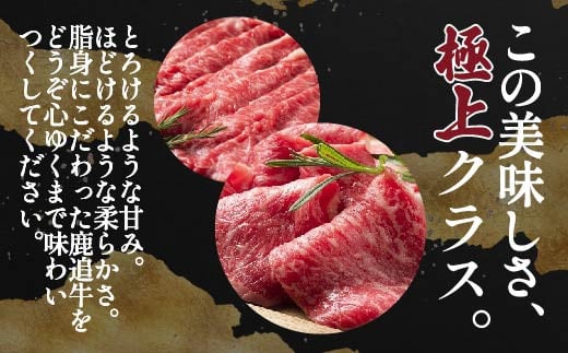 牛ロースステーキ（交雑種）