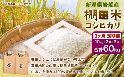 E4012 【令和6年産米】新潟県岩船産  棚田米 コシヒカリ 20kg×3ヶ月お届け 定期便 毎月 お米  白米 こしひかり 精米 村上市 901742 - 新潟県村上市