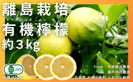 [12〜3月発送] 瀬戸内の離島から届く オーガニックレモン 約3kg [有機JAS認証]