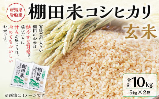 【令和6年産米】新潟県岩船産 棚田米 コシヒカリ 玄米 10kg AB4041 1035964 - 新潟県村上市