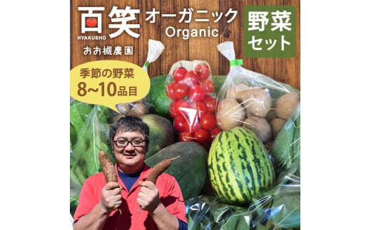 百笑オーガニック野菜セット（8～10品目）（KAG-1） 228934 - 茨城県鹿嶋市