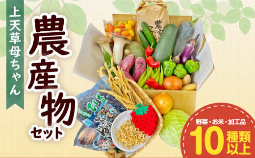 上天草母ちゃん農産物セット 野菜・お米・加工品10種類以上！ 280942 - 熊本県上天草市