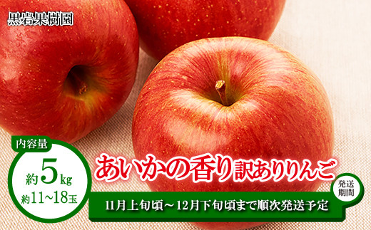 [No.5657-2643]あいかの香り 訳ありりんご 約5kg（約11～18玉）《黒岩果樹園》■2024年発送■※11月上旬頃～12月下旬頃まで順次発送予定 1060182 - 長野県須坂市