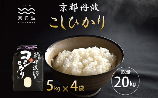 京丹波こしひかり 20kg 令和5年産 京都 米 精米 コシヒカリ ※北海道・沖縄・その他離島は配送不可 [033MB001]