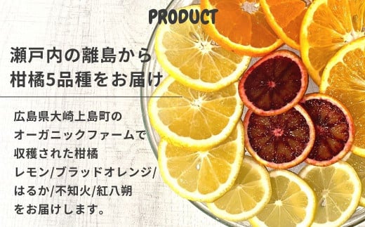 瀬戸内の離島からオーガニックの柑橘5品種をお届けします。