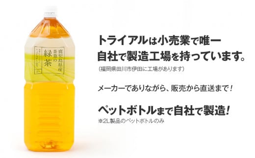 福岡県田川市のふるさと納税 お茶　トライアルのおいし～い緑茶（2L×12本）お茶　緑茶　2L　ペットボトル