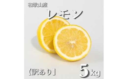 和歌山産 レモン 5kg  ［訳あり］ ［US1］
