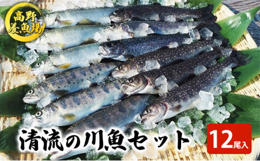 [№5762-0469]清流の川魚セット12尾入（ヤマメ・イワナ・ニジマス・アユ）