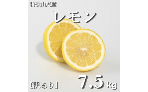 和歌山産 レモン 7.5kg  ［訳あり］ ［US2］