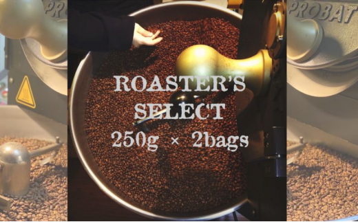 ロースターズセレクト 250g×2種類のおすすめスペシャルティコーヒー ドリンク コーヒー スペシャルティコーヒー [№5619-1607]