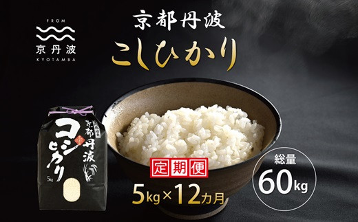 【12カ月定期便】京丹波こしひかり 5kg×12カ月連続 合計60kg 京都 米 精米 コシヒカリ ※北海道・東北・沖縄・その他離島は配送不可  [120MB001R]