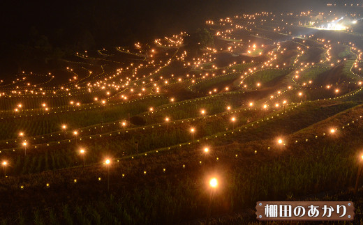 大山千枚田に、1万本のLEDキャンドルが輝く「棚田のあかり」10月～３月に開催されています。