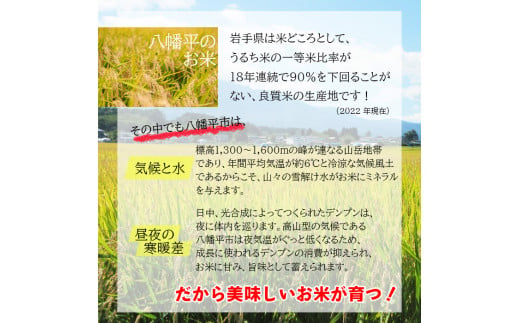 岩手県八幡平市のふるさと納税 【2024年11月発送開始】 令和6年産 新米 岩手県産 あきたこまち 玄米 5kg ／  十一代目藤助 米 産地直送 農家直送