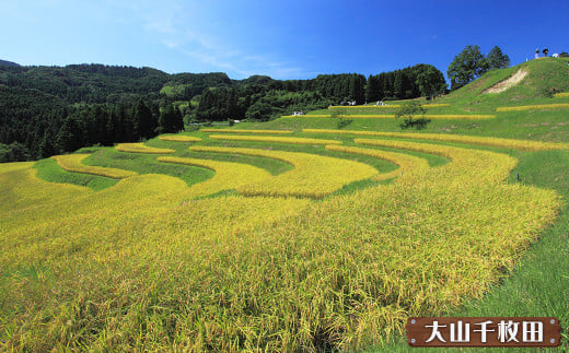 日本棚田百選に選ばれた「大山千枚田」。実りの秋には、黄金色に輝く稲と澄み渡る空。日本の原風景がここにあります。