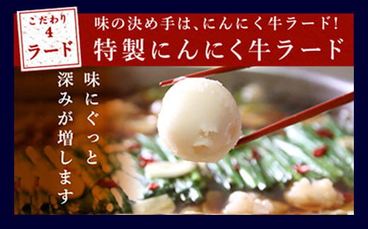 【6回定期便】もつ鍋 3種食べ比べ 2～3人前 醤油 塩とんこつ 味噌【陽はまたのぼる】