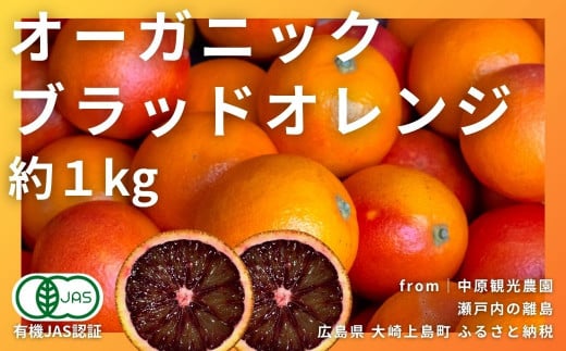 [2〜3月発送] 大崎上島産 有機JAS認証！オーガニックブラッドオレンジ 約1kg