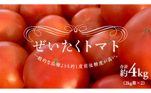 ぜいたくトマト！ 約2kg × 2 合計 約4kg ( 18～24個 ) トマト 大玉トマト 新鮮 美味しい 野菜