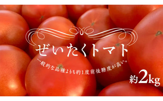 ぜいたくトマト！約2kg ( 9個～12個 ) トマト 大玉トマト 新鮮 美味しい 野菜