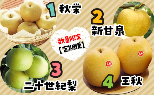 91.数量限定【定期便】鳥取県産 梨の食べ比べ 4種類コース