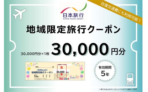 日本旅行 地域限定 旅行クーポン 30,000円 福岡県 直方市 1226988 - 福岡県直方市