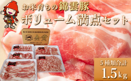 ボリューム満点 錦雲豚 ブランド肉 5種類 合計1.5kg セット ロース