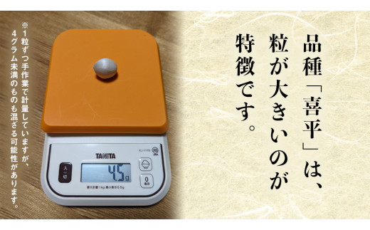 喜平 ぎんなん 1.0kg (1粒4.0g程度) 【令和6年10月中旬より発送開始