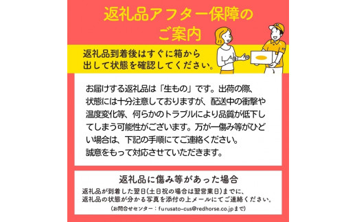 先行予約》すもも「サンルージュ」約2kg 2～3L【2024年9月上旬頃～発送