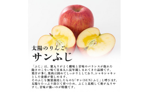 《先行予約》贈答規格「サンふじ」「はるか」約3kg詰合せ（特秀～秀）【2024年12月上旬頃～発送予定】【大江町産・山形りんご・りんご専科  清野哲生】[№5823-0763]