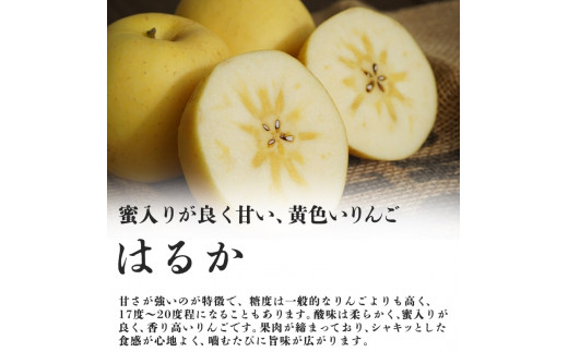 《先行予約》贈答規格「サンふじ」「はるか」約3kg詰合せ（特秀～秀）【2024年12月上旬頃～発送予定】【大江町産・山形りんご・りんご専科  清野哲生】[№5823-0763]