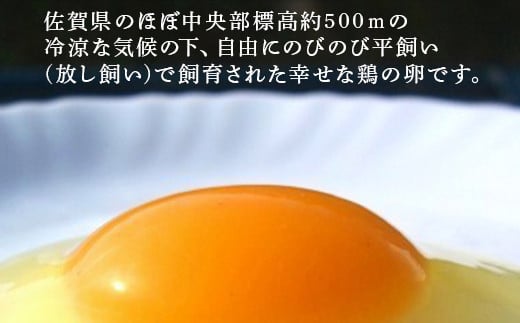 調理方法が豊富な健康たまご！ 健康に育った鶏の美味しいたまご、贈り物・お中元や
お歳暮にもご利用いただけます。