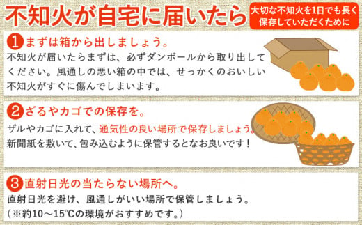 和歌山県日高川町のふるさと納税 訳あり 不知火 ( デコポン と同品種 ) しらぬい 約 5kg (M～5Lサイズ) どの坂果樹園《2025年2月上旬-4月上旬頃出荷》 和歌山県 日高川町 しらぬい 不知火 デコポン でこぽん 旬 果物 フルーツ 柑橘 産地直送 訳あり不知火 訳ありデコポン デコ 送料無料