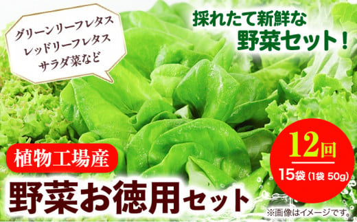 植物工場産野菜・お徳用12セット(1年契約)1セット×12回