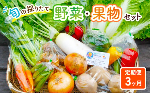 野菜セット 定期便 3ヶ月 旬の採りたて 野菜 果樹 セット フルーツセット 314273 - 神奈川県綾瀬市