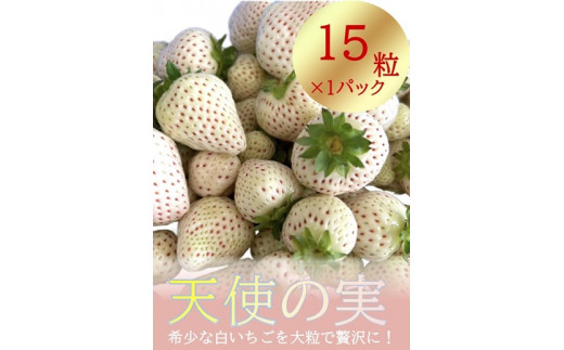 シエルファーム 大粒 白いちご 15粒 天使の実 / 高級 いちご 苺