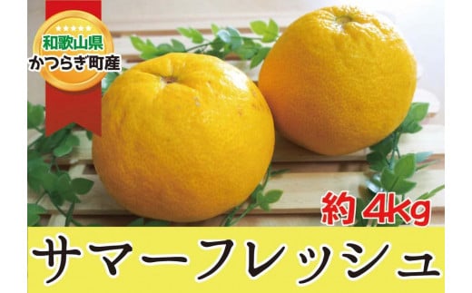 爽やか〇サマーフレッシュ〇ご家庭用 約4kg ★5月中旬頃から発送★ 柑橘 フルーツ 果物