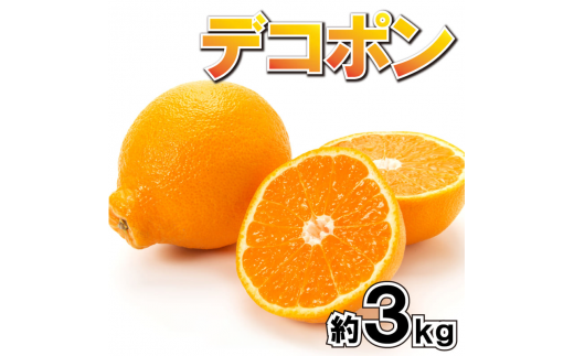果物 フルーツ デコポン 柑橘 化粧箱 ギフト 貯蔵デコポン 約3kg  592981 - 香川県さぬき市