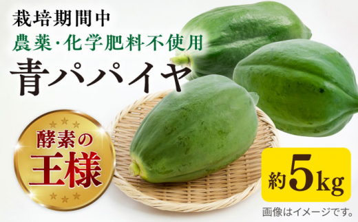 糸島産 青パパイヤ 約5kg 糸島市 / 食と健康のブリッジベース 野菜 タイ料理 [ANN001]|食と健康のブリッジベース