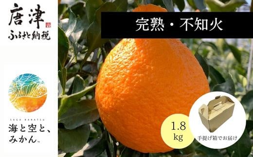 柑橘らしい甘さと酸味のバランスが抜群で、子供から大人まで根強いファンが多い
「不知火／しらぬい」1.8kgお送りします。