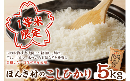 【令和5年産】ほんき村のこしひかり（5kg） お取り寄せ 特産 お米 精米 白米 ごはん ご飯 コメ 新生活 応援 準備 5キロ 【968】