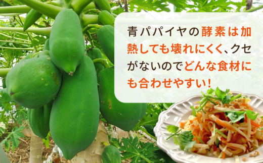 糸島産 青パパイヤ 約5kg 糸島市 / 食と健康のブリッジベース 野菜 タイ料理 [ANN001]|食と健康のブリッジベース