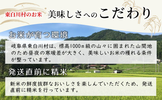 【先行受付】令和6年産 コシヒカリ 玄米 約12kg 新米 五分つき 白米 東白川村産 お米 【ご希望により白米、5分つき、精米いたします！】  10000円 一万円