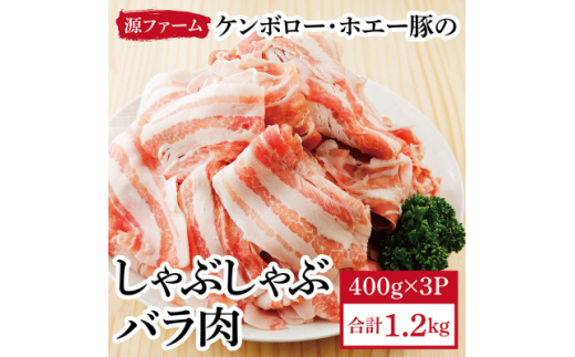 ＜毎月定期便＞北海道十勝産 ホエー豚 しゃぶしゃぶバラ肉1.2kg(400g×3パック)全3回【4010963】