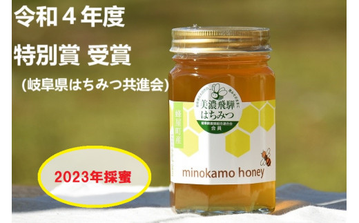 MINOKAMO HONEY はちみつ（500g） | 藤井養蜂 非加熱 百花蜜 国産 M12S101 728035 - 岐阜県美濃加茂市