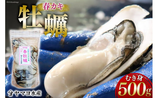 牡蠣 生食用 むき身 500g [5月前半〜出荷] 春 かき 期間限定 冷蔵 ヤマヨ水産 [気仙沼市物産振興協会 宮城県 気仙沼市 20563124]