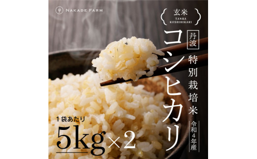 丹波コシヒカリ玄米10kg特栽 1298161 - 兵庫県丹波市